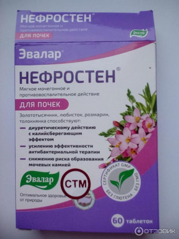 Лекарство от почек на травах название. Лекарство Нефростен Эвалар. Таблетки для почек Нефростен. Эвалар от почек таблетки Нефростен. Лекарство от почек на травах.