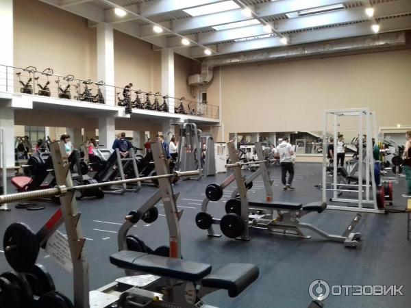 Egis Ungaria � ������ �������: ����.