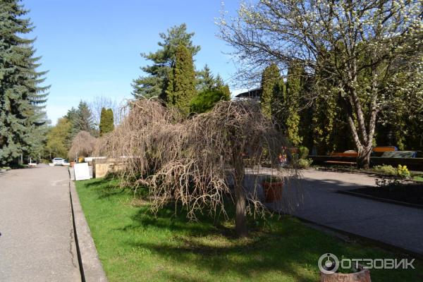 Санаторий Москва (Россия, Кисловодск) фото