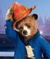 Paddington Bear