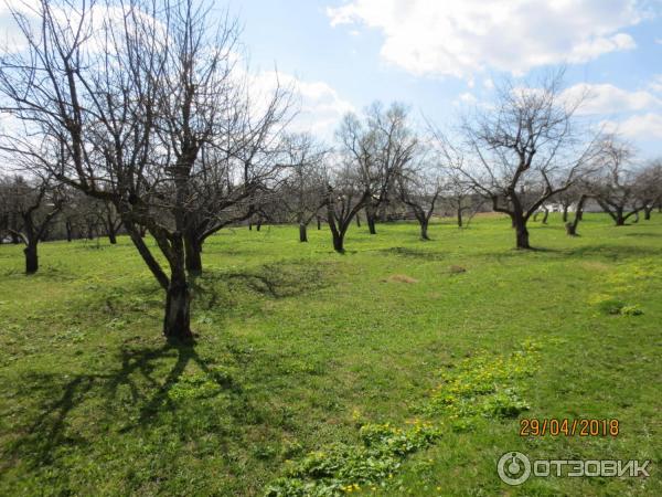 Ясная Поляна (Россия, Тульская область) фото