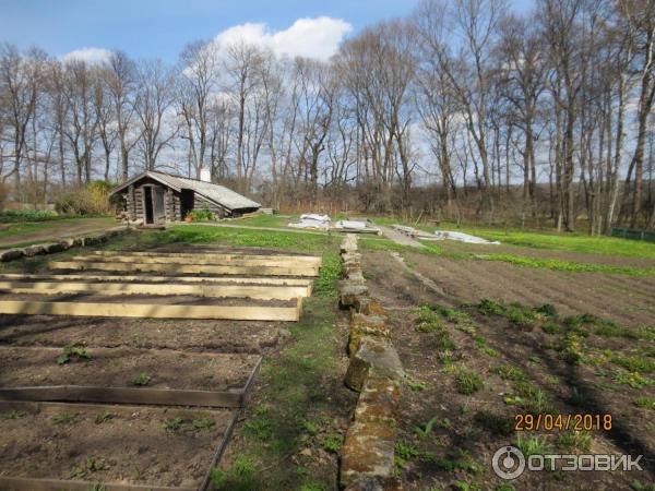 Ясная Поляна (Россия, Тульская область) фото