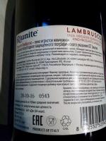 Вино игристое красное Riunite Lambrusco Emilia Amabile фото