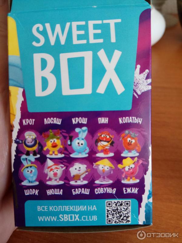 Подарочный набор Sweet Box Смешарики фото