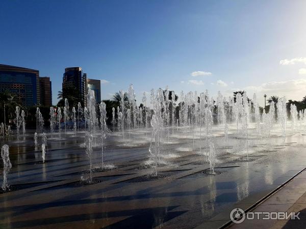 Фонтанты