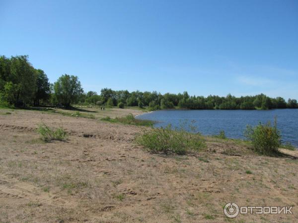 Калининград березовка. Калининград поселок озерки. Калининград березовка. Калининград березовка. Калининград березовка.