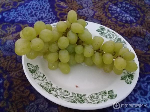 Как выглядит 100 грамм винограда Отзыв о Виноград кишмиш Seedless Неплохой виноград.