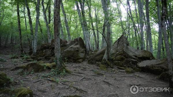 Водопады и дольмены реки Жане (Россия, Краснодарский край) фото