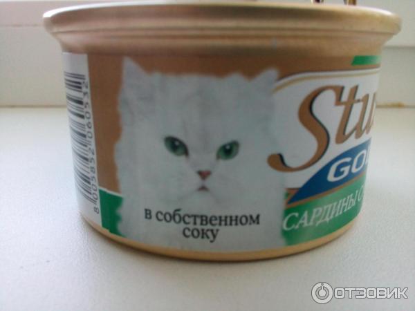 Консерва Stuzzy gold сардины с кальмарами