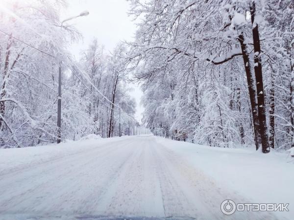 Дорога, снятая на телефон