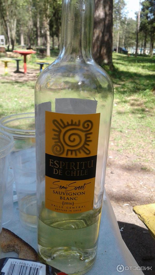 Espiritu de chile sauvignon. Вино Эспириту де Чили. Вино Еспириту де Чили Совиньон Блан. Вино Эспириту де Чили Совиньон Блан белое. Вино Чили белое полусладкое Эспириту.