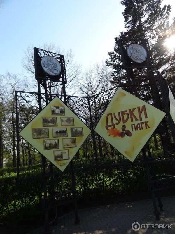 Парк Дубки В Сестрорецке Фото