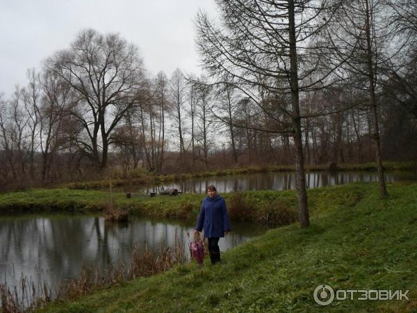 Ясный берег, база, дом отдыха, Тульская область, Дубенский …