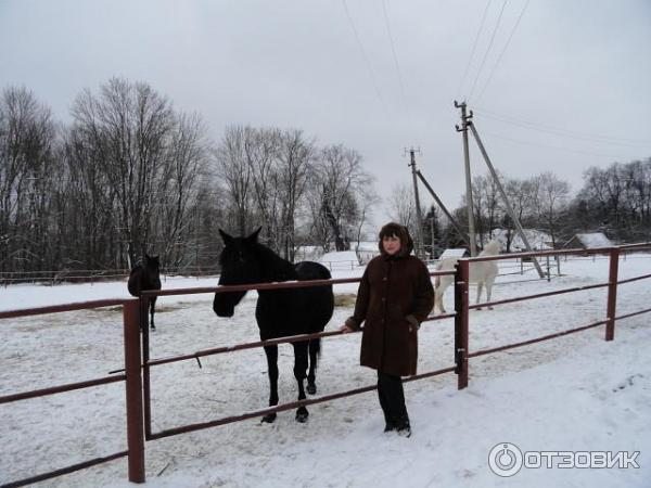 20 лучших баз отдыха Тулы и Тульской области - цены 2024, …