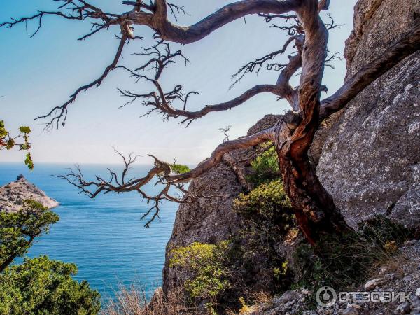 Экскурсия на гору Караул-Оба (Крым, Новый Свет) фото