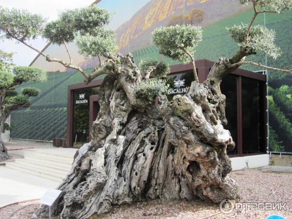 Экскурсия на винодельню Quinta da Bacalhoa (Португалия, Сетубал) фото