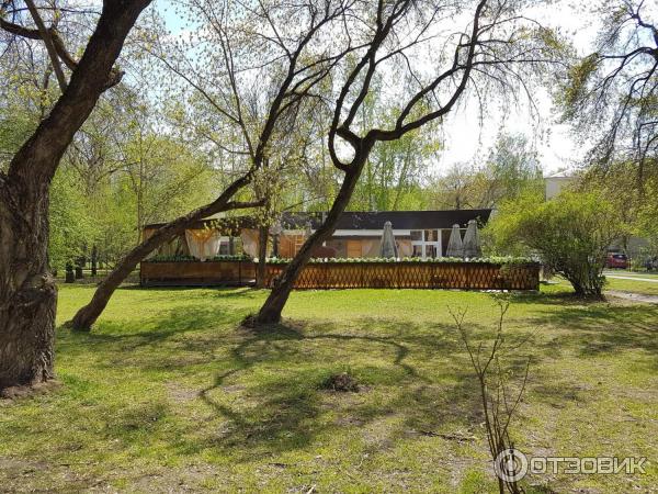 Парк Имени Павлика Морозова В Екатеринбурге Фото