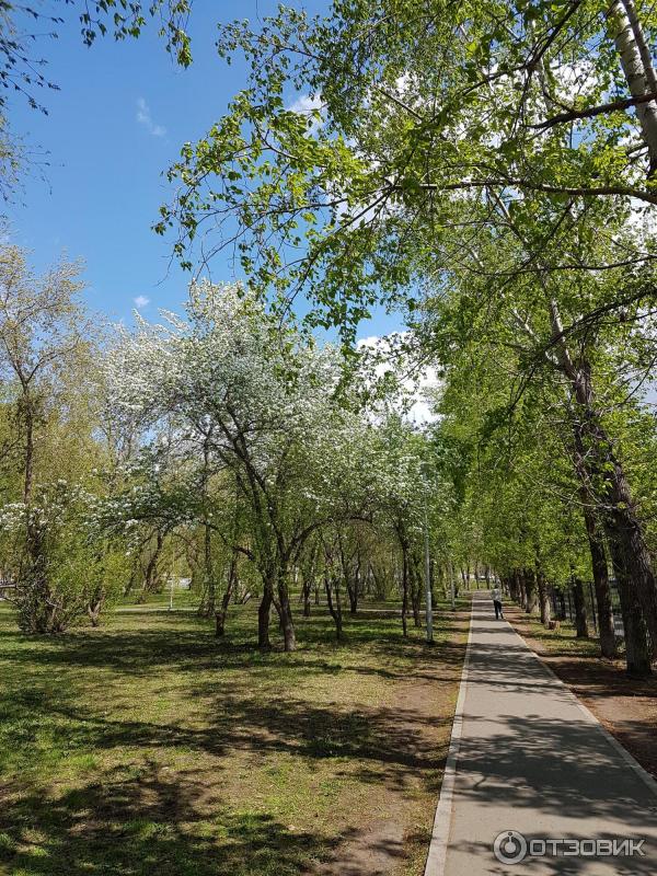 Парк Имени Павлика Морозова В Екатеринбурге Фото