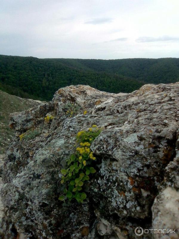 Гора Стрельная (Россия, Самарская область) фото