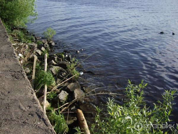 Экскурсия по г. Савелово (Россия, Тверская область) фото