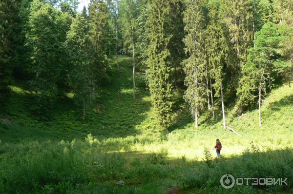 Познавательная тропа Варнику (Литва, Тракай) фото