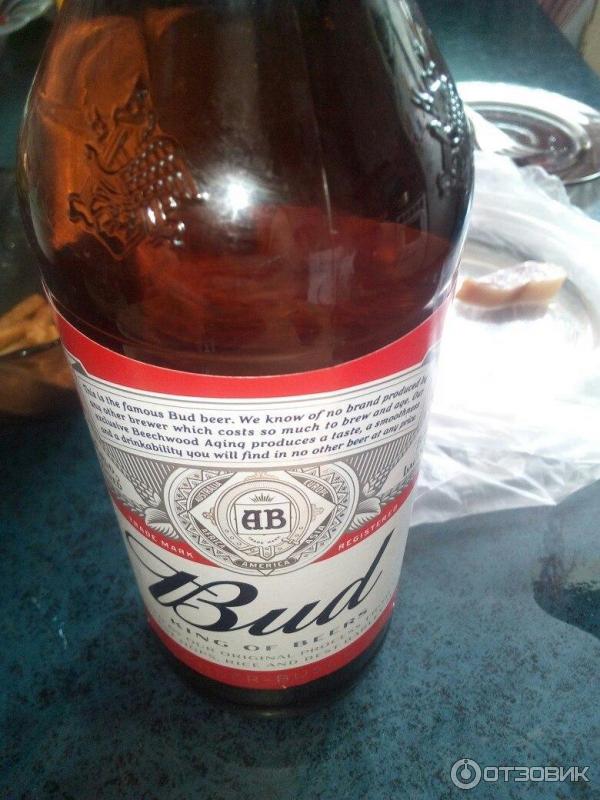 Пиво Bud Купить Оптом