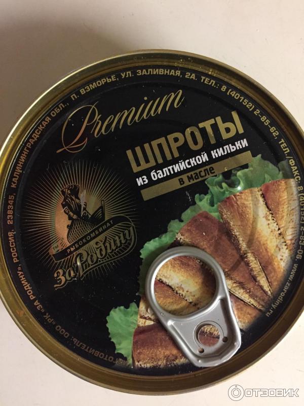Шпрот калининград сайт. Шпрот калининград сайт