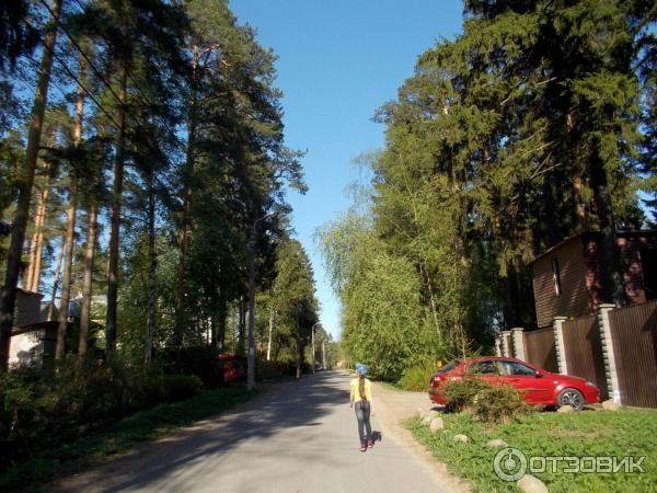 Ярославская п песочный. Крона в Песочном Санкт-Петербург. Гостиница крона песочный. П. песочный СПБ. Отель Дибунах песочный.