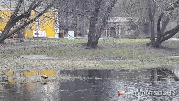 Дворцово-парковый ансамбль Лефортово (Россия, Москва) фото