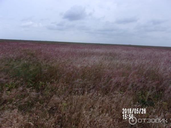 Бакальская коса (Крым) фото