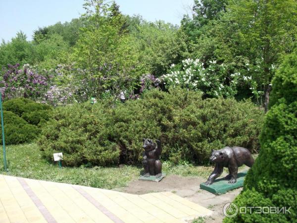 Ставропольский ботанический сад фото. Ставропольский Ботанический сад Ставрополь. Ботанический сад Ставрополь зимой.