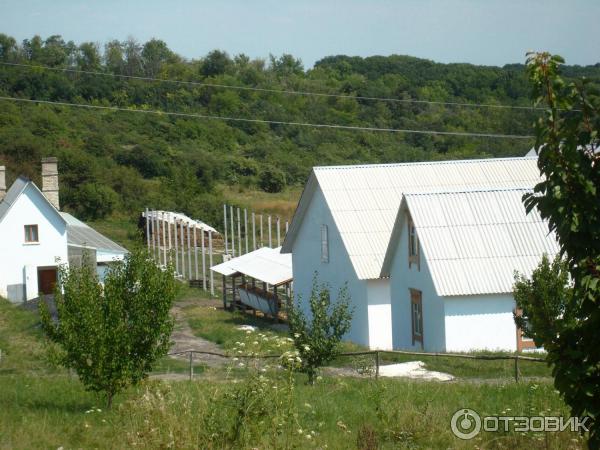 Святогорская Свято-Успенская Лавра (Украина, Святогорск) фото