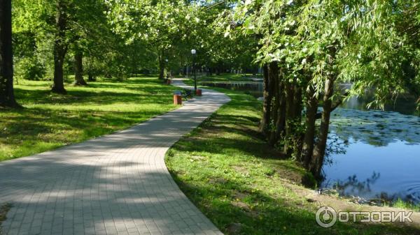 Городской парк (Россия, Зеленоградск) фото