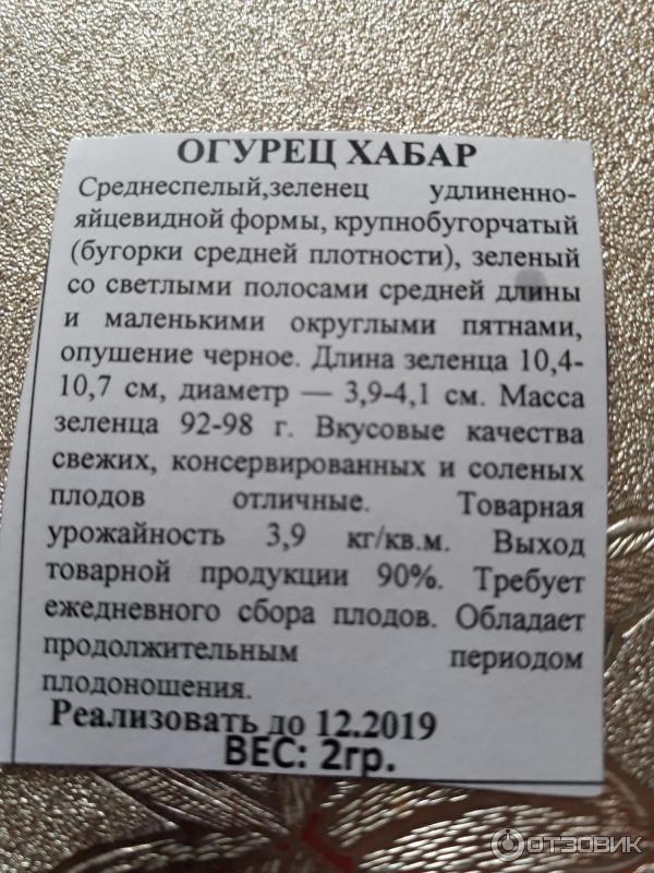 Отзыв о Семена огурца Семена Алтая "Хабар" | Молоко вдвойне смешней ...