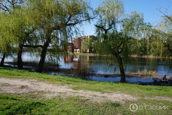 Отдых в Миргороде (Украина, Полтавская область) фото