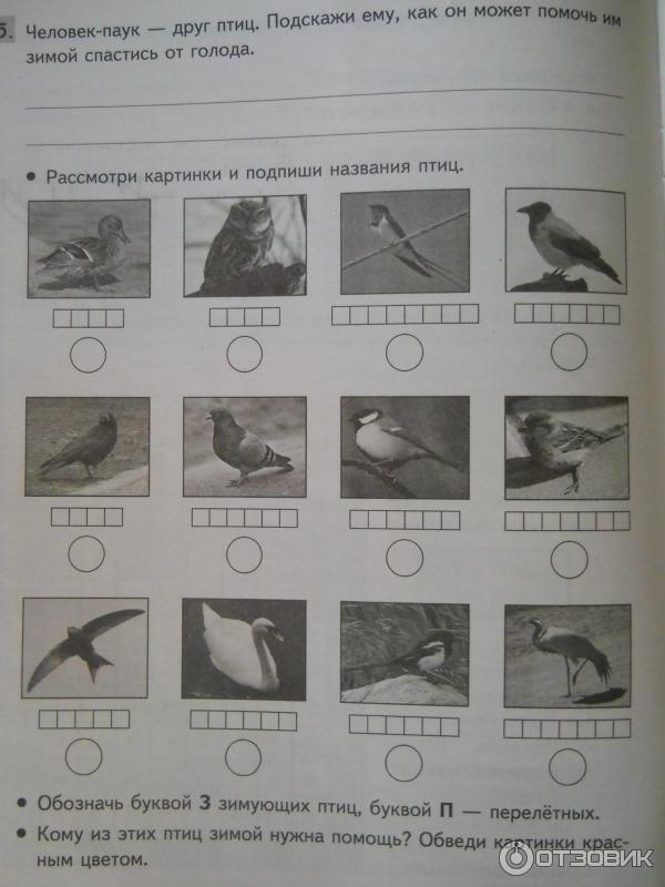 Комплексные задания иду в 3 класс. Комплексные работы иду во 2 класс задания на лето. Комплексные работы иду во 2 класс. Комплексные работы иду во 2 класс ответы. Задание на лето иду во 2 класс комплексные задания.