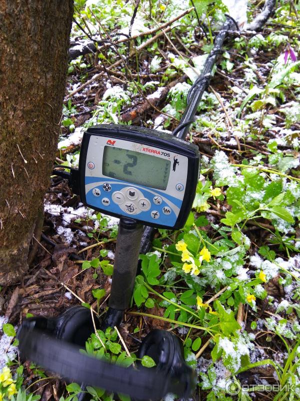 Металлоискатель Minelab X-TERRA 705 фото