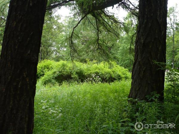 Экскурсия в оранжереи Ботанического сада Тропический маршрут (Россия, Санкт-Петербург) фото