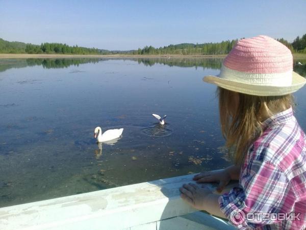 Экскурсия на Словенские ключи (Россия, Изборск) фото