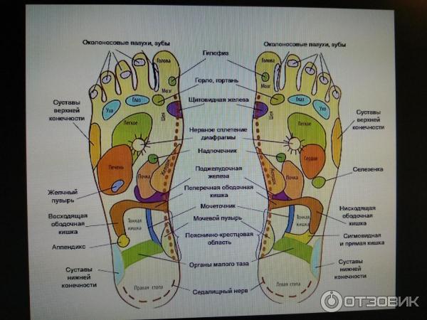 Массажер для ног Shiatsu foot massager with heat фото