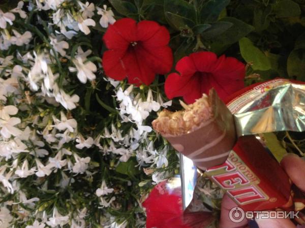 Шоколадный батончик Славянка Золотой СТЕП фото