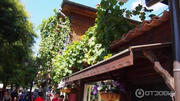 Экскурсия Старый Несебр (Болгария, Бургасская область) фото