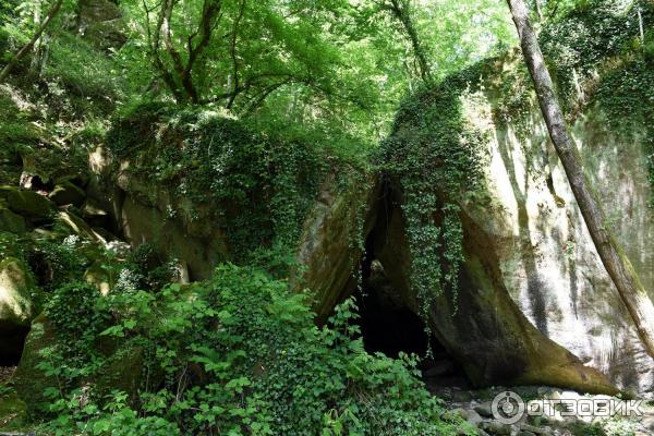 Волконский дольмен (Россия, Краснодарский край) фото