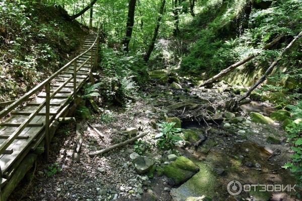 Волконский дольмен (Россия, Краснодарский край) фото