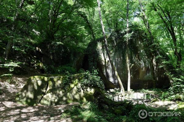 Волконский дольмен (Россия, Краснодарский край) фото