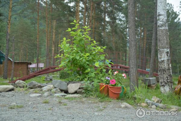 Форелевые озера (Россия, Алтай) фото