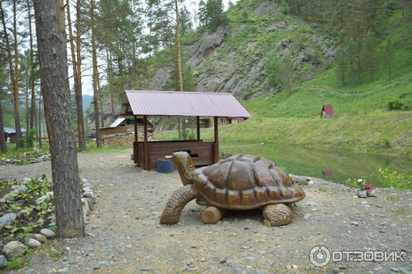 Форелевые озера (Россия, Алтай) фото