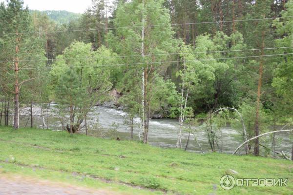 Форелевые озера (Россия, Алтай) фото