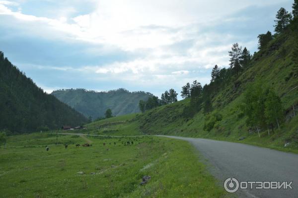 Форелевые озера (Россия, Алтай) фото