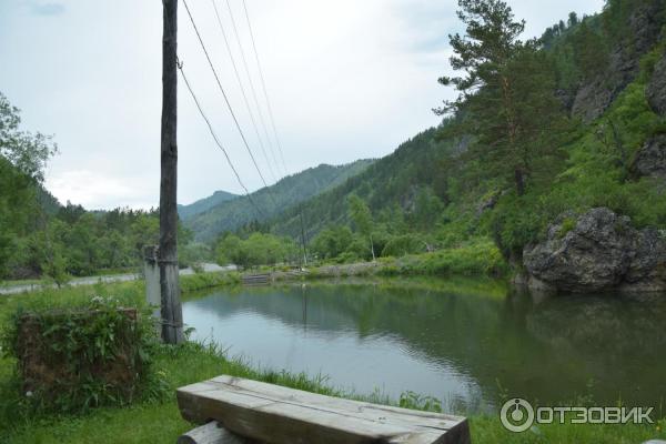 Форелевые озера (Россия, Алтай) фото